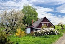 How House Prices in the UK Have Changed Over the Last Decade How House Prices in the UK Have Changed Over the Last Decade